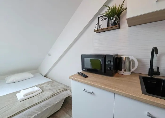 Tiny Downtown Apartment W Detached Private Bath